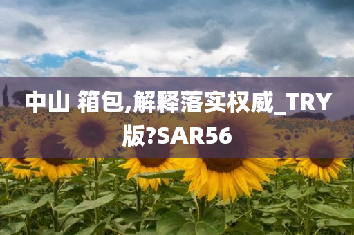 中山 箱包,解释落实权威_TRY版?SAR56