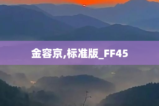 金容京,标准版_FF45