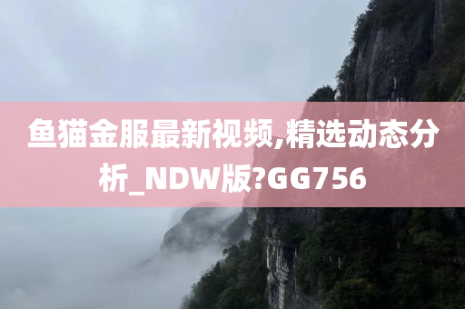 鱼猫金服最新视频,精选动态分析_NDW版?GG756