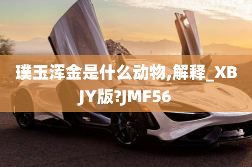 璞玉浑金是什么动物,解释_XBJY版?JMF56