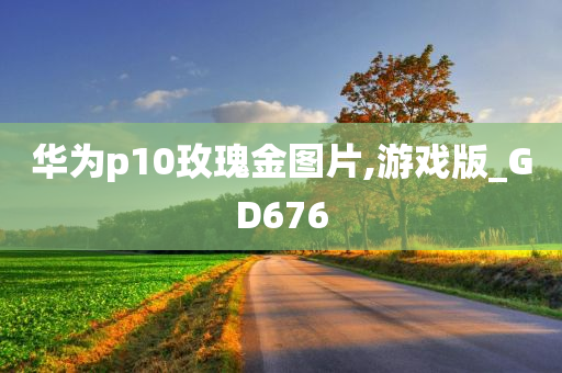 华为p10玫瑰金图片,游戏版_GD676