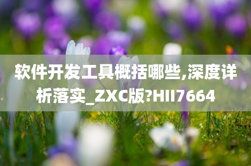 软件开发工具概括哪些,深度详析落实_ZXC版?HII7664