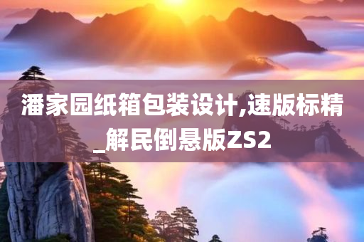 潘家园纸箱包装设计,速版标精_解民倒悬版ZS2