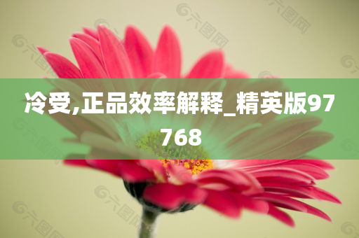 冷受,正品效率解释_精英版97768