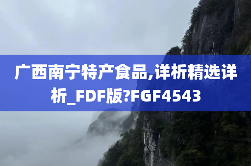 广西南宁特产食品,详析精选详析_FDF版?FGF4543