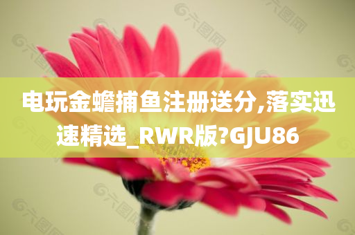 电玩金蟾捕鱼注册送分,落实迅速精选_RWR版?GJU86