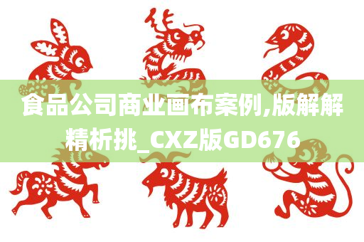 食品公司商业画布案例,版解解精析挑_CXZ版GD676