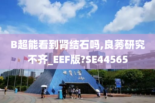 B超能看到肾结石吗,良莠研究不齐_EEF版?SE44565