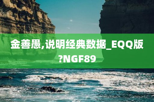 金善愚,说明经典数据_EQQ版?NGF89