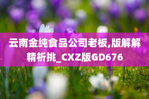 云南金纯食品公司老板,版解解精析挑_CXZ版GD676