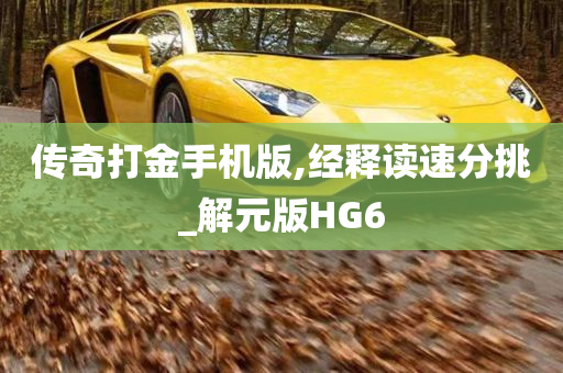 传奇打金手机版,经释读速分挑_解元版HG6