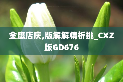 金鹰店庆,版解解精析挑_CXZ版GD676