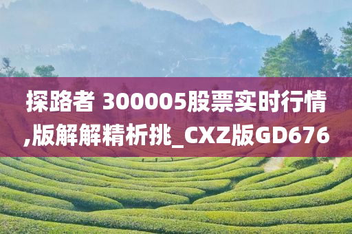 探路者 300005股票实时行情,版解解精析挑_CXZ版GD676