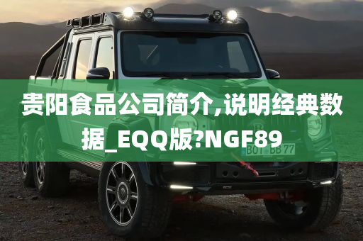 贵阳食品公司简介,说明经典数据_EQQ版?NGF89