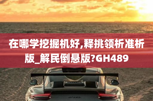 在哪学挖掘机好,释挑领析准析版_解民倒悬版?GH489