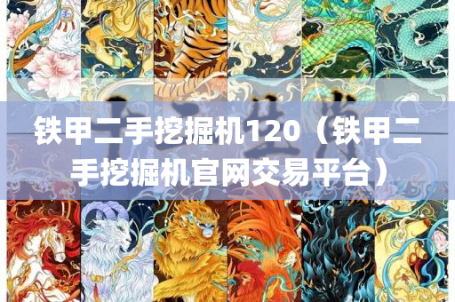 铁甲二手挖掘机120（铁甲二手挖掘机官网交易平台）