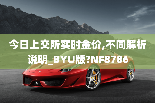 今日上交所实时金价,不同解析说明_BYU版?NF8786