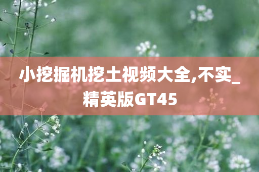 小挖掘机挖土视频大全,不实_精英版GT45