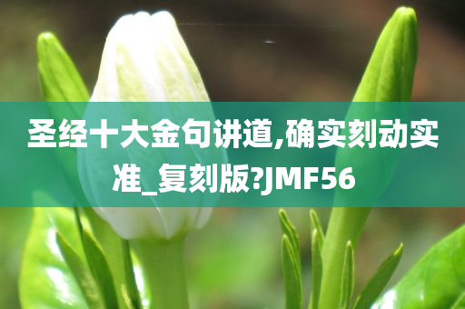 圣经十大金句讲道,确实刻动实准_复刻版?JMF56