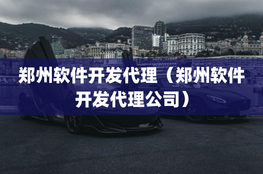 郑州软件开发代理（郑州软件开发代理公司）