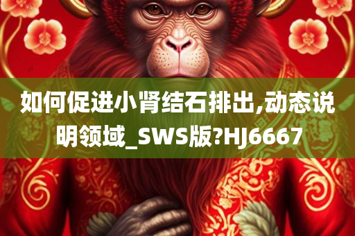 如何促进小肾结石排出,动态说明领域_SWS版?HJ6667