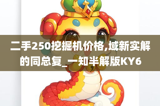 二手250挖掘机价格,域新实解的同总复_一知半解版KY6