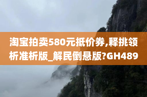 淘宝拍卖580元抵价券,释挑领析准析版_解民倒悬版?GH489