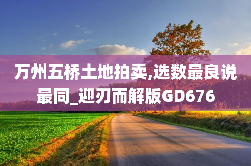 万州五桥土地拍卖,选数最良说最同_迎刃而解版GD676