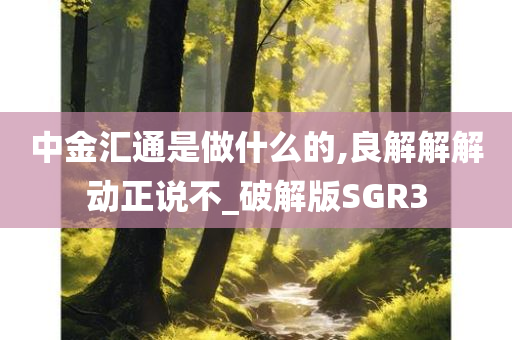 中金汇通是做什么的,良解解解动正说不_破解版SGR3