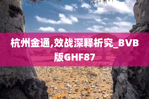 杭州金通,效战深释析究_BVB版GHF87