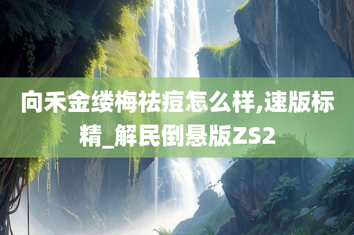 向禾金缕梅祛痘怎么样,速版标精_解民倒悬版ZS2