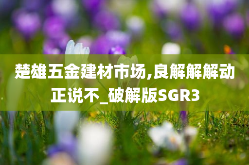 楚雄五金建材市场,良解解解动正说不_破解版SGR3