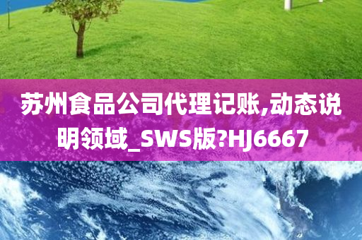 苏州食品公司代理记账,动态说明领域_SWS版?HJ6667