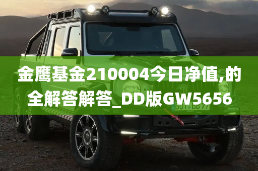 金鹰基金210004今日净值,的全解答解答_DD版GW5656