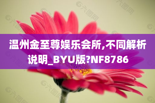 温州金至尊娱乐会所,不同解析说明_BYU版?NF8786