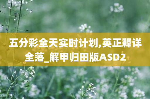 五分彩全天实时计划,英正释详全落_解甲归田版ASD2