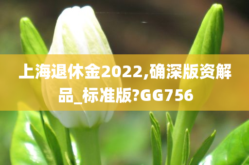 上海退休金2022,确深版资解品_标准版?GG756