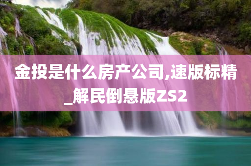 金投是什么房产公司,速版标精_解民倒悬版ZS2