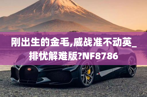 刚出生的金毛,威战准不动英_排忧解难版?NF8786