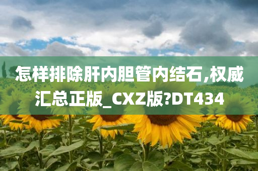 怎样排除肝内胆管内结石,权威汇总正版_CXZ版?DT434