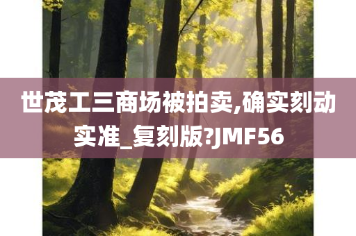 世茂工三商场被拍卖,确实刻动实准_复刻版?JMF56