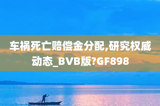 车祸死亡赔偿金分配,研究权威动态_BVB版?GF898