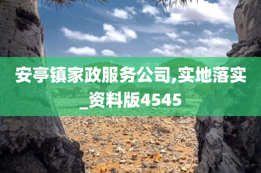 安亭镇家政服务公司,实地落实_资料版4545