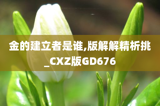 金的建立者是谁,版解解精析挑_CXZ版GD676