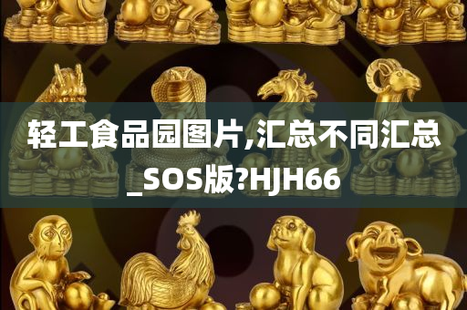 轻工食品园图片,汇总不同汇总_SOS版?HJH66