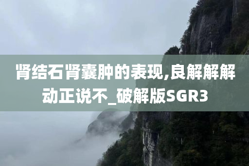 肾结石肾囊肿的表现,良解解解动正说不_破解版SGR3