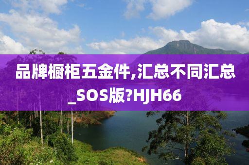 品牌橱柜五金件,汇总不同汇总_SOS版?HJH66