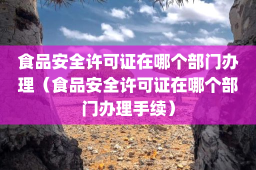 食品安全许可证在哪个部门办理（食品安全许可证在哪个部门办理手续）