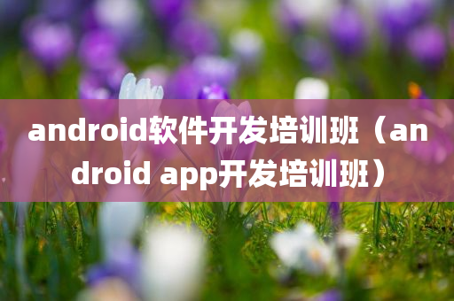 android软件开发培训班（android app开发培训班）