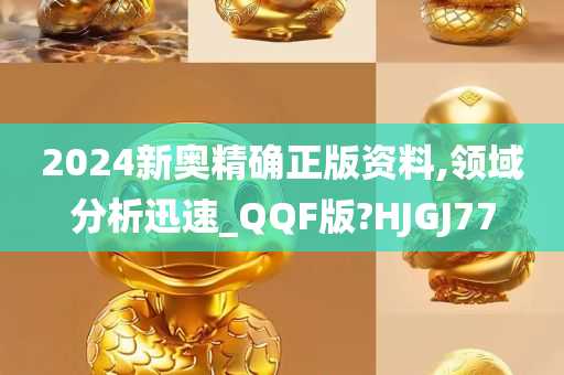 2024新奥精确正版资料,领域分析迅速_QQF版?HJGJ77